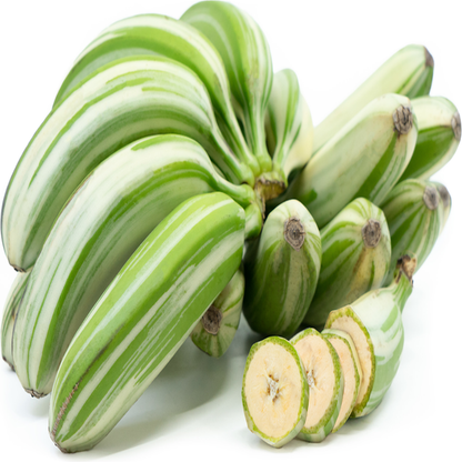 Ae Ae Banana (Variegated Banana) Healthy Sweet Tissue Cultured Fruit Plant