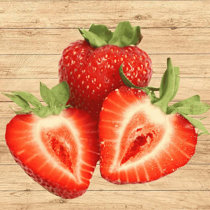 Albion Strawberry Healthy Sweet Home Garden Kitchen Garden Terrace Balcony Fruit Plant