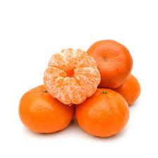Algerian Clementine Orange Grafted Healthy Fruit Plant