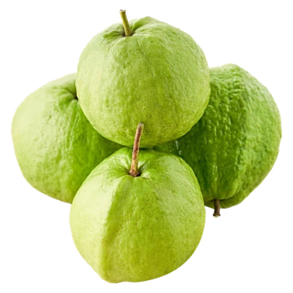 Alta Verapaz White Guava Air Layered Healthy Fruit Plant