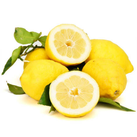 Amalfi Coast Lemon Plant Live Nimbu Tree Kagzi Lemon Citrus Limon Fruit Plant