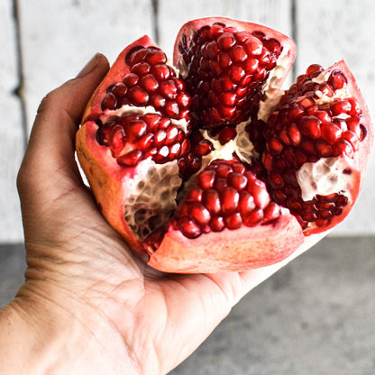 Ambrosia Pomegranate Grafted Fruit Plant – High Yielding Sweet Juicy Anar Tree Variety