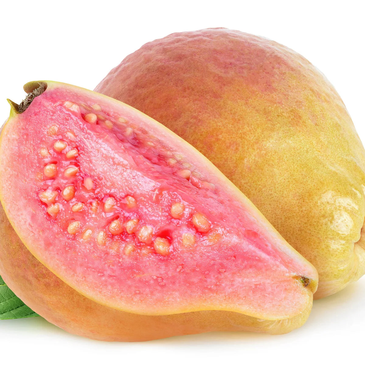 Andes Pink Guava Air Layered Healthy Fruit Plant