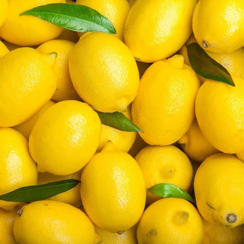 Andhra Lemon Local Plant Live Nimbu Tree Kagzi Lemon Citrus Limon Fruit Plant