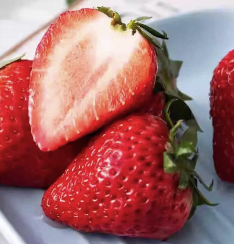 Annapolis Strawberry Healthy Sweet Home Garden Kitchen Garden Terrace Balcony Fruit Plant