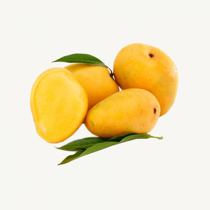 Anwar Ratol Mango Aam Grafted Healthy Fruit Plant