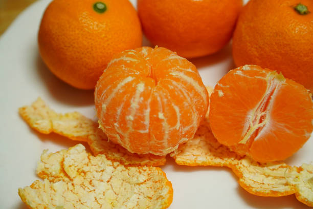 Aoshima Sweet Orange Grafted Healthy Fruit Plant