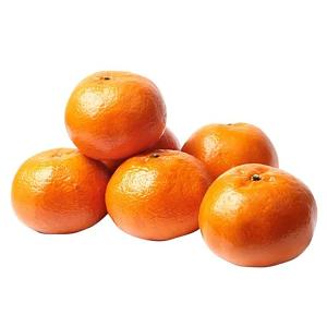 Arunachal Mandarin Orange Grafted Healthy Fruit Plant