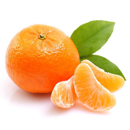 Arunachal Sweet Orange Grafted Healthy Fruit Plant