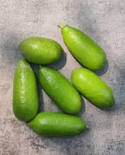 Assam Lemon Plant Live Nimbu Tree Kagzi Lemon Citrus Limon Fruit Plant
