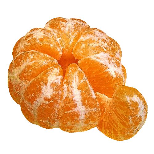 Assam Mandarin Orange Grafted Healthy Fruit Plant