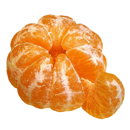 Assam Mandarin Orange Grafted Healthy Fruit Plant