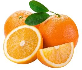 Assam Sweet Orange Grafted Healthy Fruit Plant