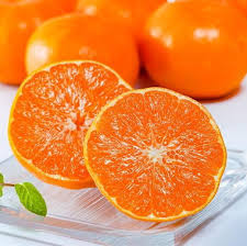 Asumi Orange Grafted Healthy Fruit Plant
