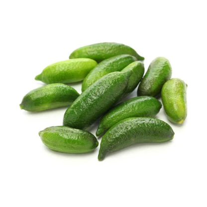 Australian Finger Lime Plant Live Nimbu Tree Kagzi Lemon Citrus Limon Fruit Plant