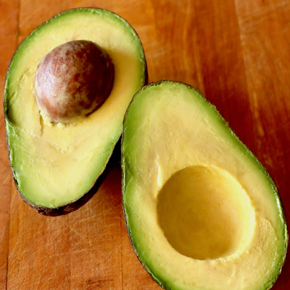 Bacon AvocadoGrafted  Healthy Fruit Plant