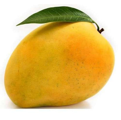 Baganapalli (Benishan) Mango Aam Grafted Healthy Fruit Plant