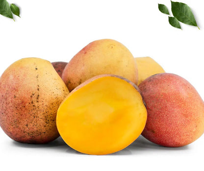 Bailey'S Marvel Aam Grafted Healthy Fruit Plant