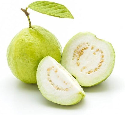 Banarasi Surkha Guava Air Layered Healthy Fruit Plant