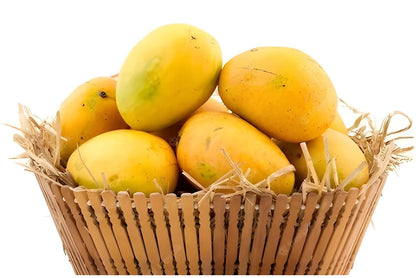 Banganapalli Mango Aam Grafted Healthy Fruit Plant