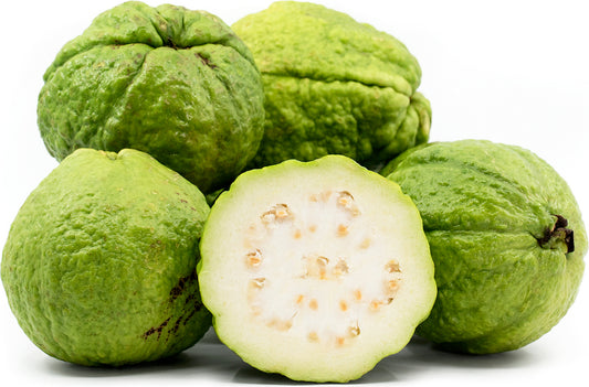 Bangkok Giant Guava Air Layered Healthy Fruit Plant