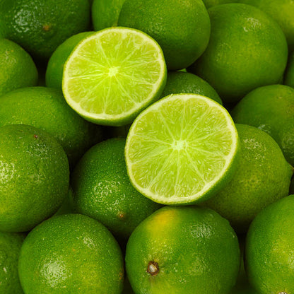 Baramasi Lemon Plant Live Nimbu Tree Kagzi Lemon Citrus Limon Fruit Plant