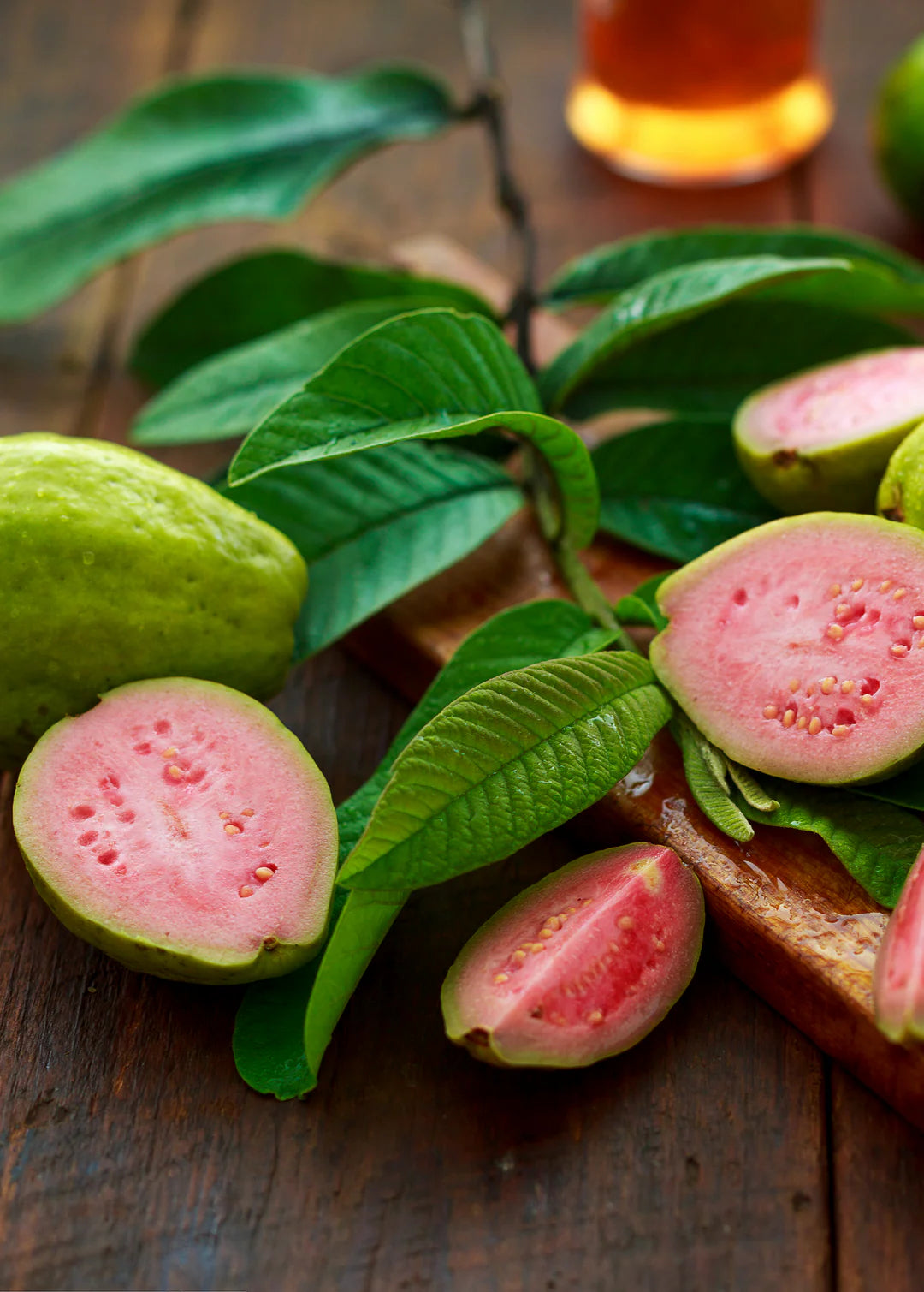 Barbie Pink Guava Air Layered Healthy Fruit Plant