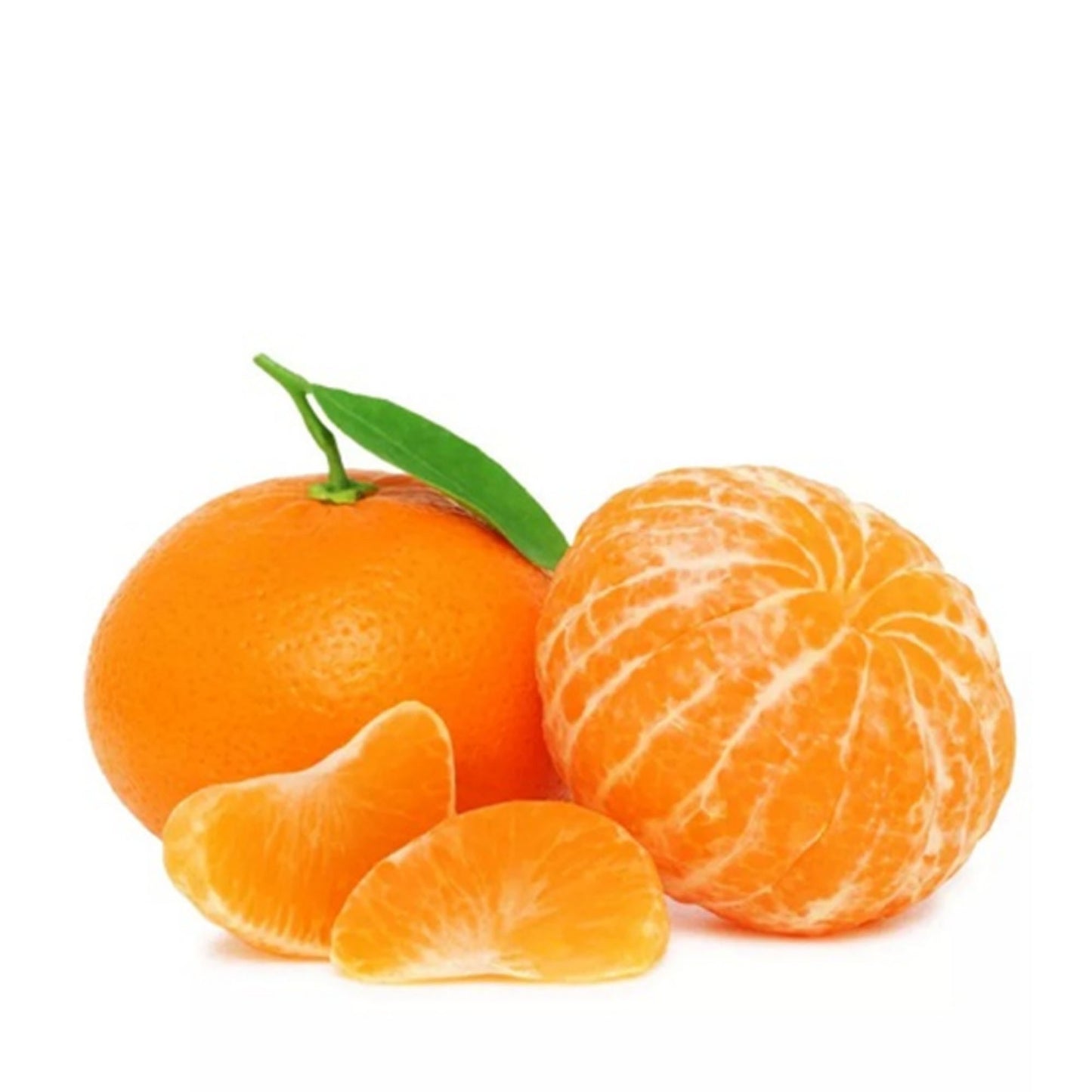Batangas Mandarin Orange Grafted Healthy Fruit Plant