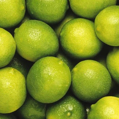 Bearss Lime Plant Live Nimbu Tree Kagzi Lemon Citrus Limon Fruit Plant