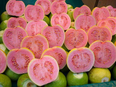 Belize Pink Guava Air Layered Healthy Fruit Plant