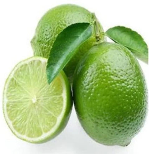 Bengal Aromatic Lemon Plant Live Nimbu Tree Kagzi Lemon Citrus Limon Fruit Plant