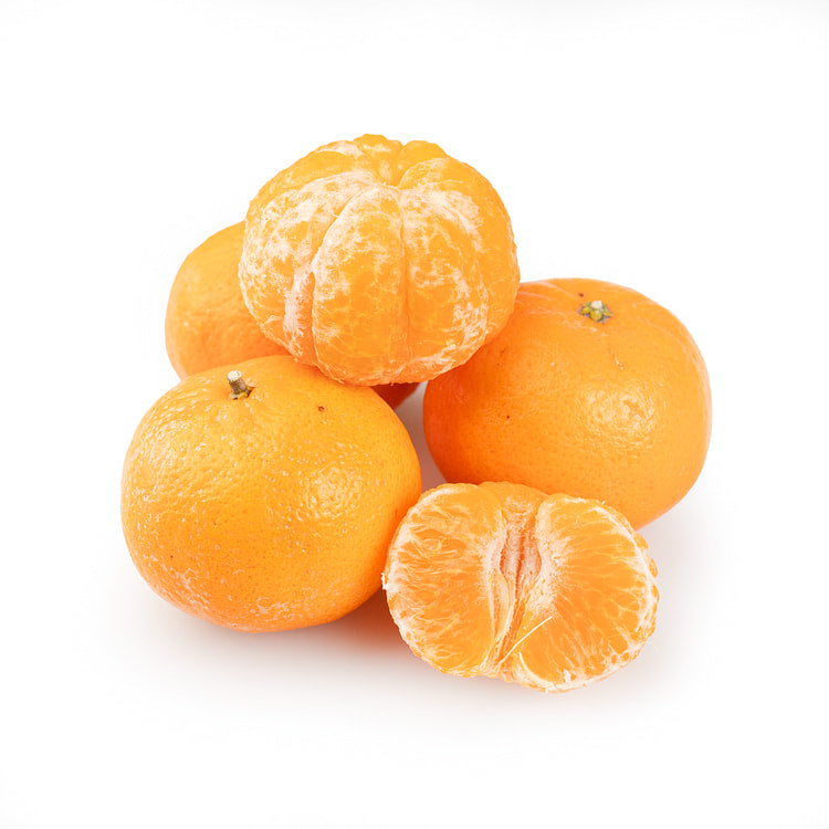 Benibae Orange Grafted Healthy Fruit Plant