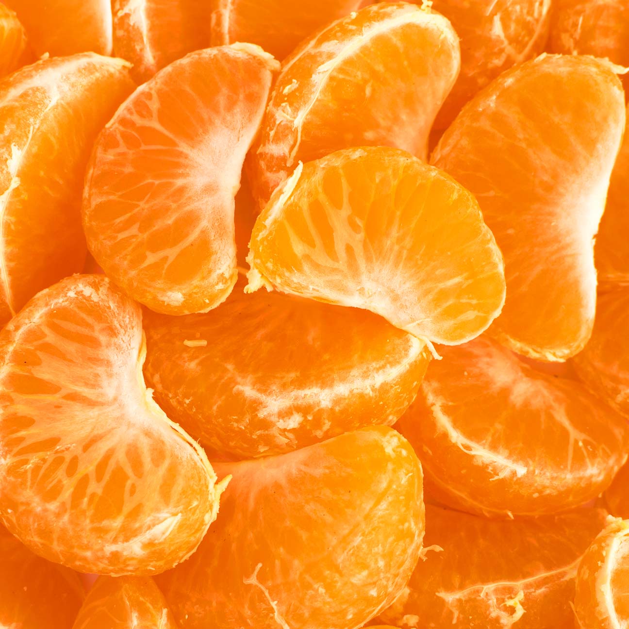 Benibae Orange Grafted Healthy Fruit Plant