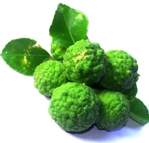 Bergamot Lemon (used in perfume & tea) Plant Live Nimbu Tree Kagzi Lemon Citrus Limon Fruit Plant