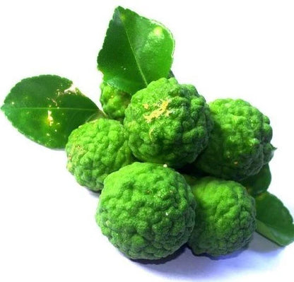 Bergamot Lemon (used in perfume & tea) Plant Live Nimbu Tree Kagzi Lemon Citrus Limon Fruit Plant