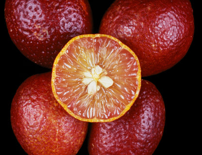 Blood Lime Plant Live Nimbu Tree Kagzi Lemon Citrus Limon Fruit Plant