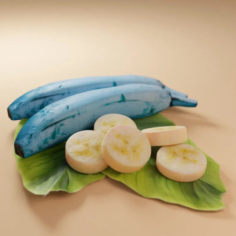 Blue Java Banana Healthy Sweet Tissue Cultured Fruit Plant