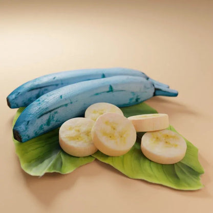 Blue Java Banana Healthy Sweet Tissue Cultured Fruit Plant
