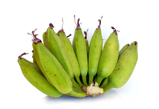 Bluggoe Banana Healthy Sweet Tissue Cultured Fruit Plant