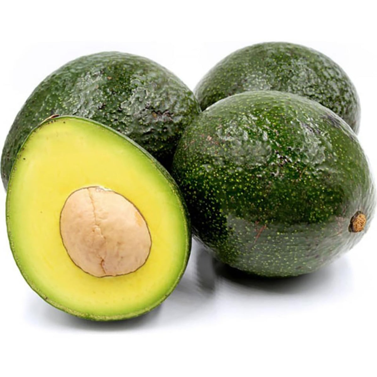 Booth 7 Avocado Grafted Healthy Fruit Plant