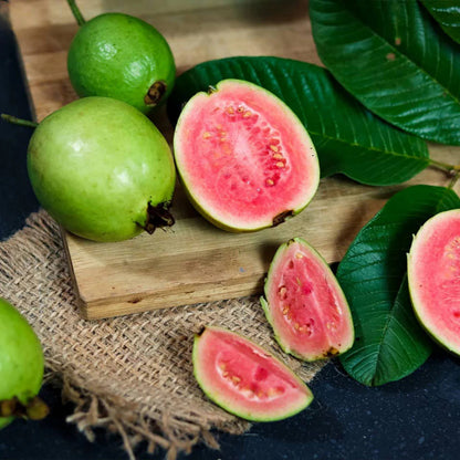 Botswana Pink Guava Air Layered Healthy Fruit Plant