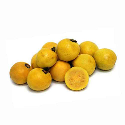Brazilian Wild Guava Air Layered Healthy Fruit Plant