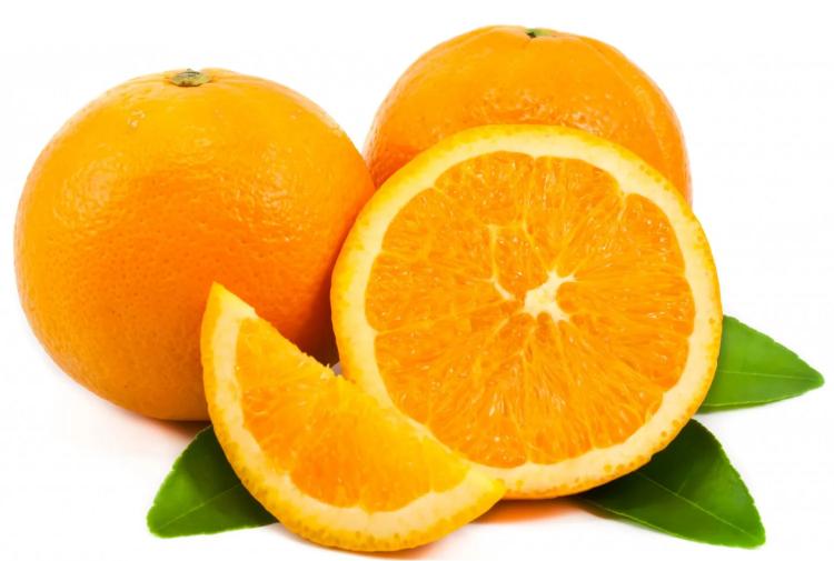 Bruno Clementine Orange Grafted Healthy Fruit Plant