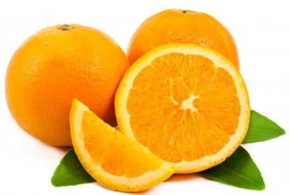 Bruno Clementine Orange Grafted Healthy Fruit Plant
