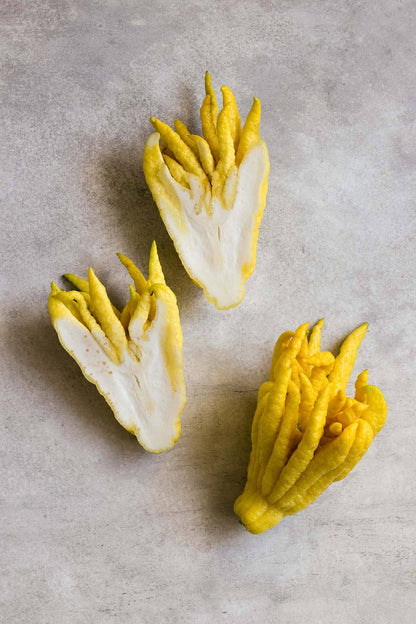 Buddha’s Hand Citron Plant Live Nimbu Tree Kagzi Lemon Citrus Limon Fruit Plant