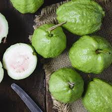 Burundi White Guava Air Layered Healthy Fruit Plant