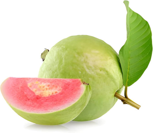 CISH G-3 Guava Air Layered Healthy Fruit Plant
