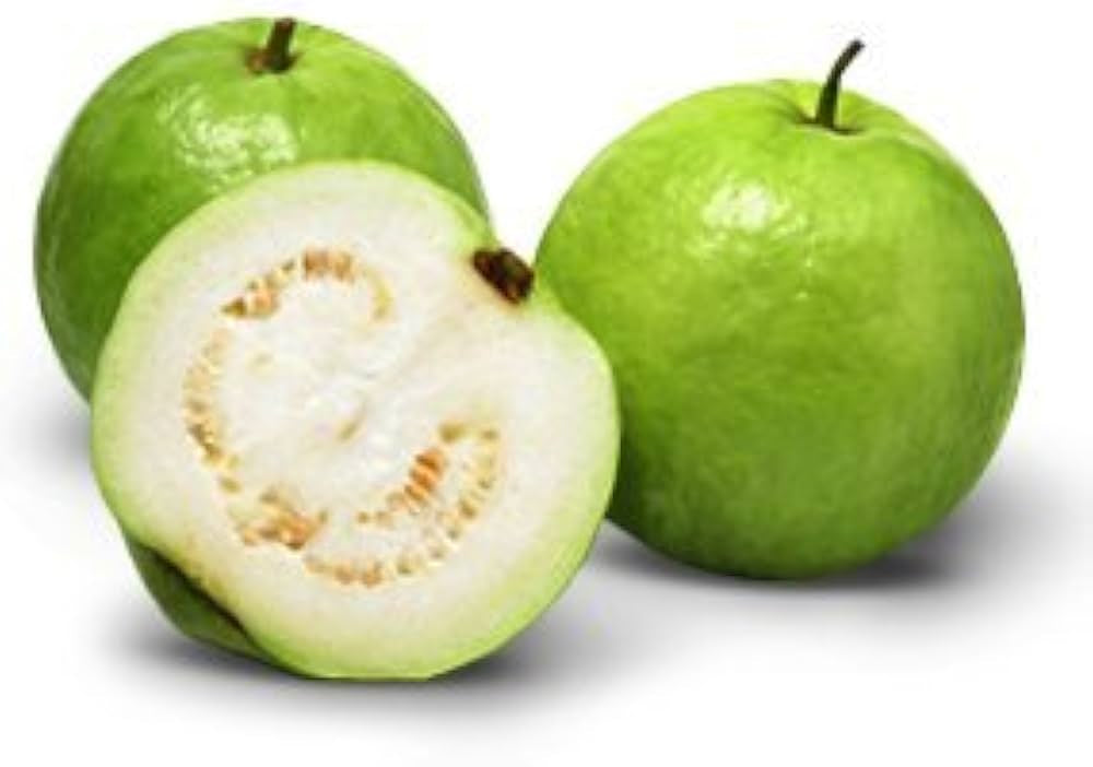 CISH G-4 Guava Air Layered Healthy Fruit Plant