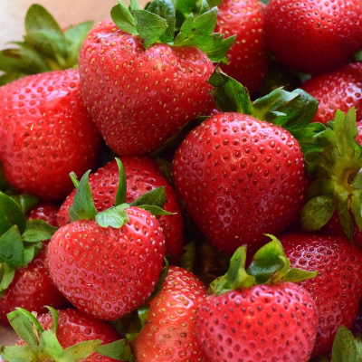 Cabrillo Strawberry Healthy Sweet Home Garden Kitchen Garden Terrace Balcony Fruit Plant