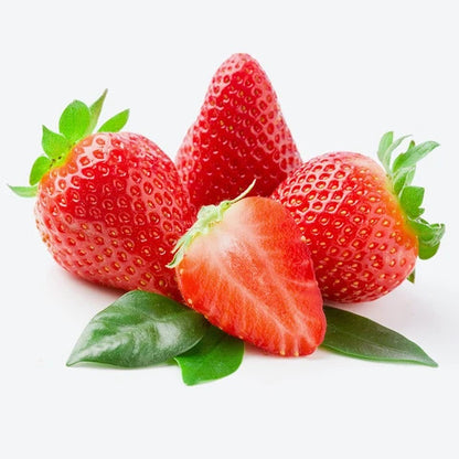 Cabrillo Strawberry Healthy Sweet Home Garden Kitchen Garden Terrace Balcony Fruit Plant